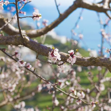 Casa Pina Leilighet Amalfi Eksteriør bilde