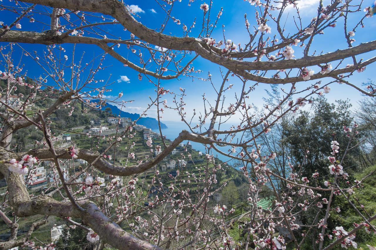 Casa Pina Leilighet Amalfi Eksteriør bilde