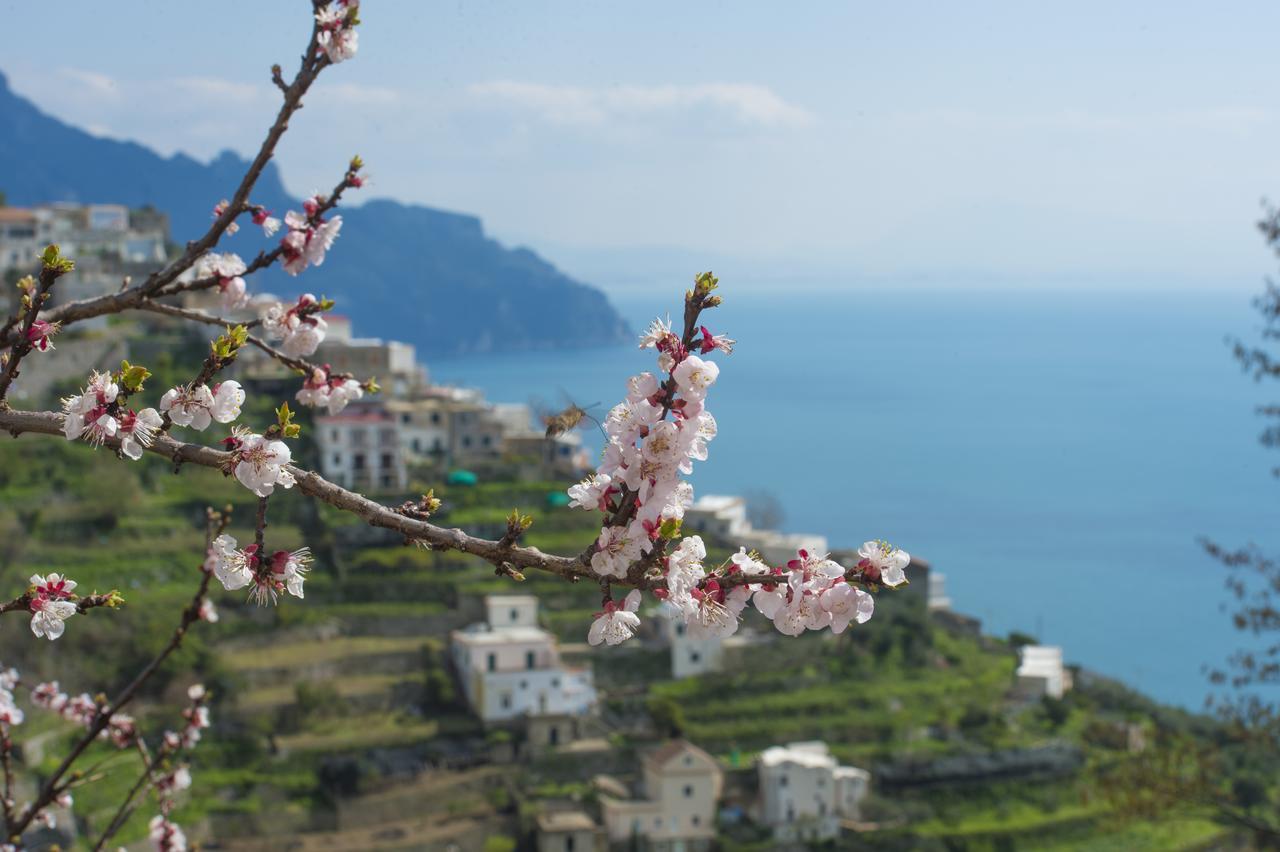 Casa Pina Leilighet Amalfi Eksteriør bilde