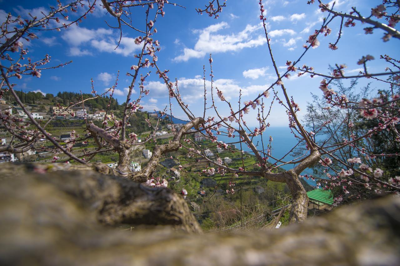 Casa Pina Leilighet Amalfi Eksteriør bilde
